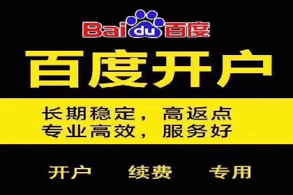 百度竞价推广公司经典案例回顾：网络广告的变革与创新
